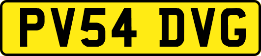 PV54DVG