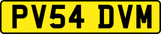 PV54DVM