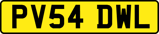 PV54DWL