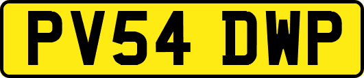 PV54DWP