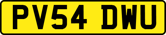 PV54DWU