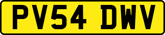 PV54DWV