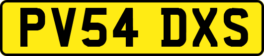 PV54DXS