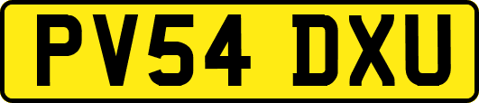 PV54DXU