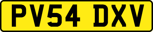 PV54DXV