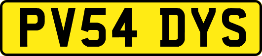 PV54DYS