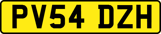PV54DZH