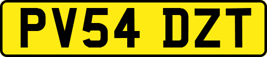 PV54DZT