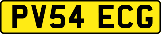 PV54ECG