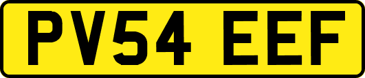 PV54EEF