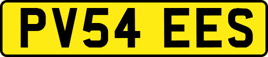 PV54EES
