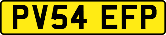 PV54EFP