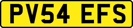 PV54EFS