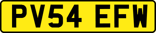 PV54EFW
