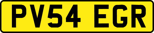 PV54EGR
