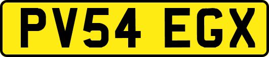 PV54EGX