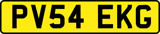 PV54EKG