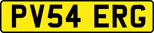 PV54ERG