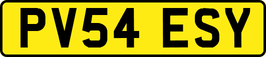 PV54ESY