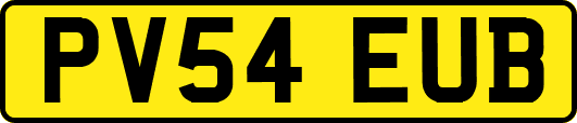 PV54EUB