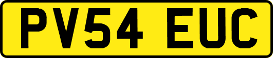 PV54EUC