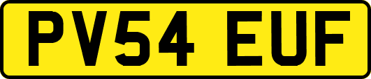 PV54EUF