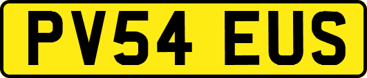 PV54EUS