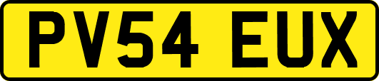 PV54EUX