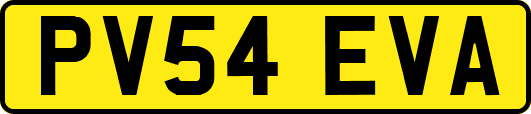 PV54EVA