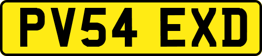 PV54EXD