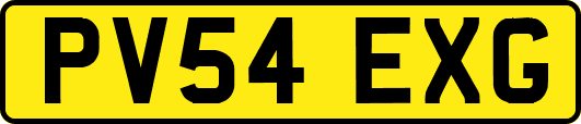 PV54EXG