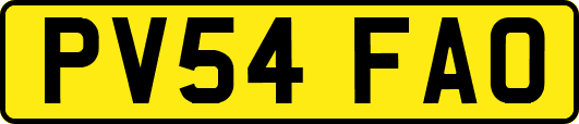 PV54FAO