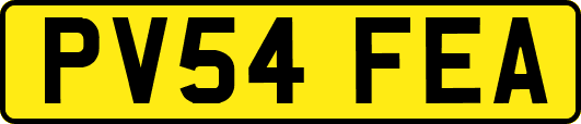 PV54FEA