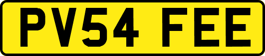 PV54FEE