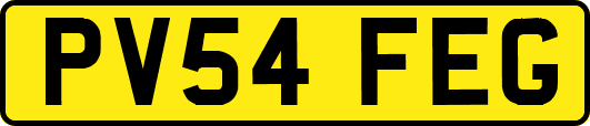 PV54FEG
