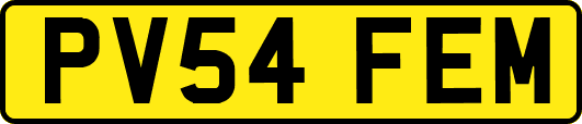 PV54FEM