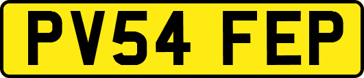 PV54FEP