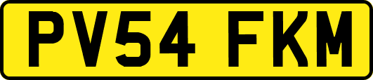 PV54FKM