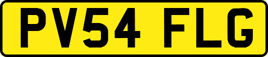 PV54FLG