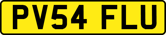 PV54FLU