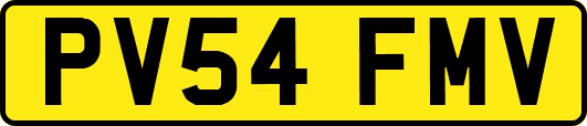 PV54FMV