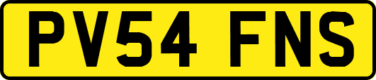 PV54FNS