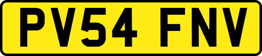 PV54FNV