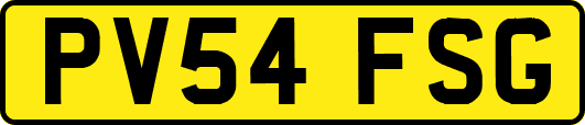 PV54FSG