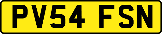 PV54FSN