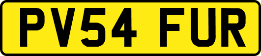 PV54FUR