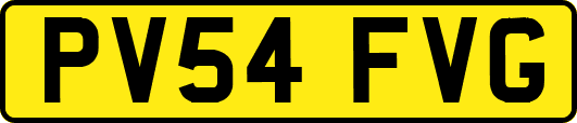 PV54FVG