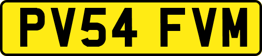PV54FVM