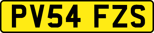 PV54FZS
