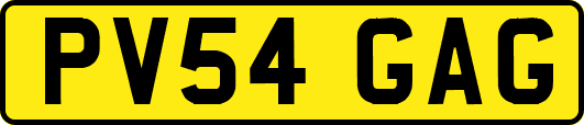 PV54GAG